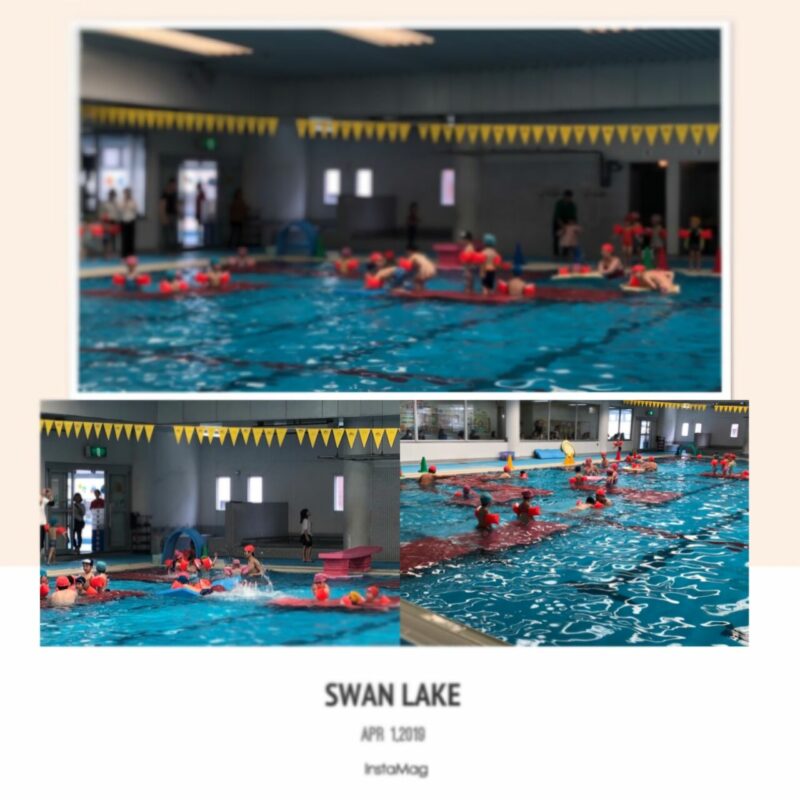 幼稚園 保育園生無料体験 武蔵ヶ丘校ブログ はるおかスイミングスクール